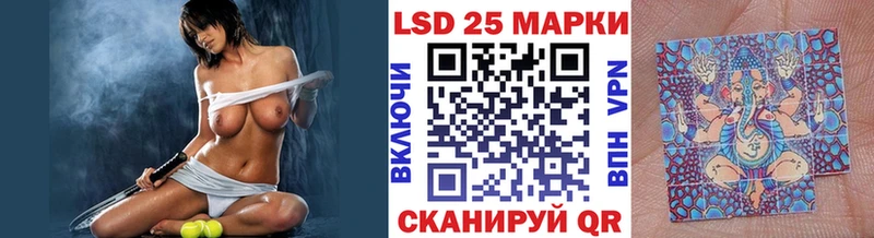 Марки 25I-NBOMe 1500мкг  ОМГ ОМГ ONION  Жердевка  сколько стоит 